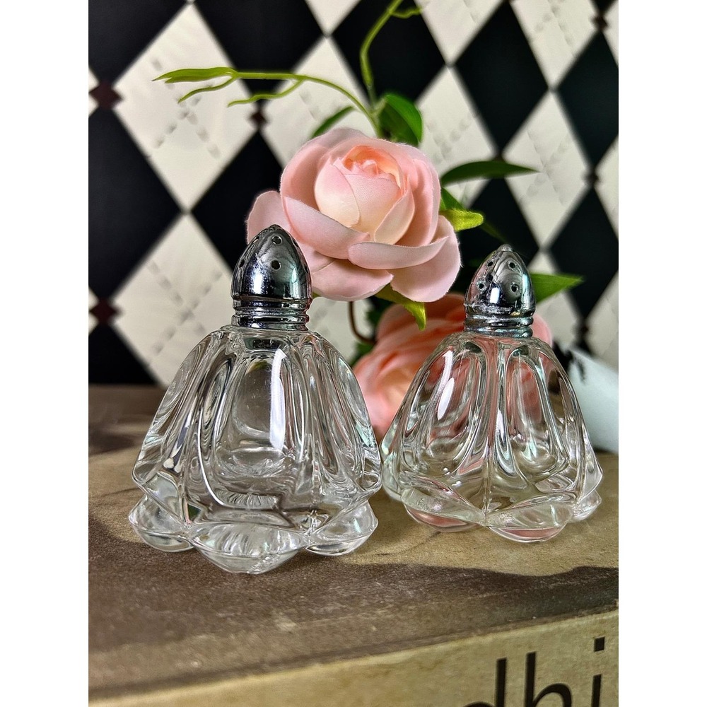 Vintage Molded Glass Salt and Pepper Shakers Set Clear Glass